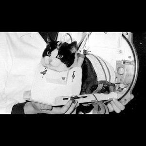 Meet your Posher, Jaden